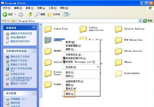 怎么多台电脑共享文件