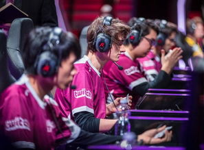 UOL战队介绍有哪些?