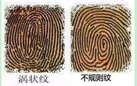 怎样根据指纹看手相?