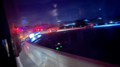 动车时速是多少