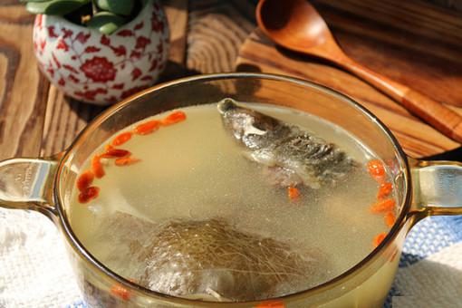 清炖乌龟汤的做法大全