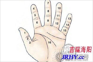 手上长痣的位置和命运