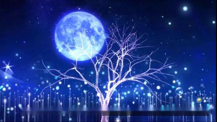 KTV必唱歌曲有哪些