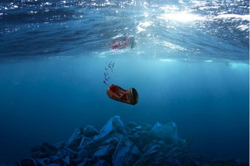 海洋垃圾污染会产生什么后果?