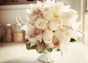 白玫瑰花语送什么人,白玫瑰花含义