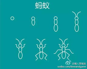 蚂蚁的"蚁"字的笔顺是什么啊?