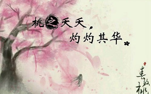 灼灼其华的意思解释,桃之夭夭,灼灼其华的意思_竞价网