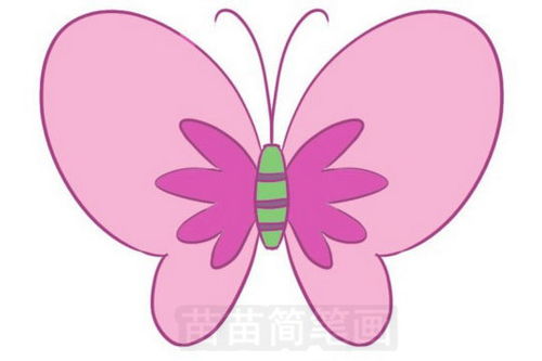 蝴蝶简笔画彩色 画法图片