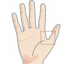 手的虎口位置图片,模具虎口位置图片_竞价网