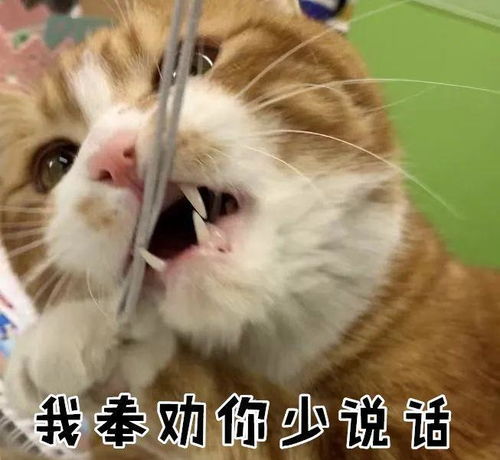 1,白眼狼"的意思:忘恩负义.