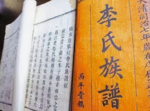 李姓的来源
