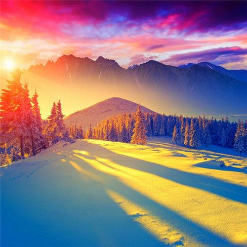 旺财图片 微信 招财 头像,旺财图片大全_竞价网