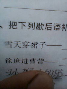 三九天穿裙子歇后语下一句是什么你真是三九天穿裙子歇后语