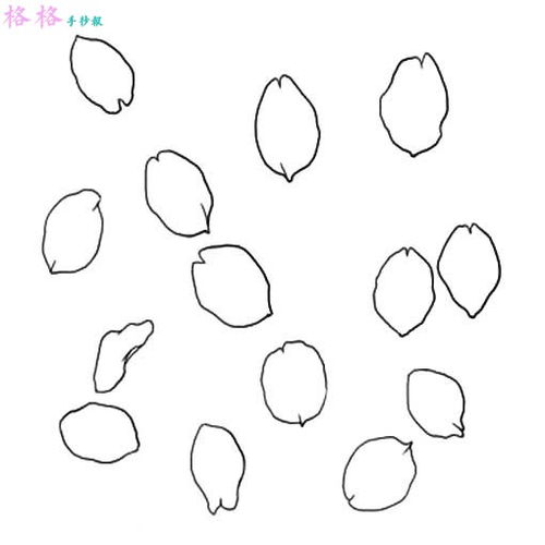 ôʻôÿ