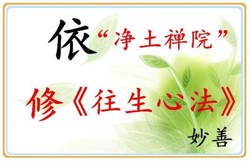 供养不周的周是什么意思,佛教供养是什么意思_竞价网