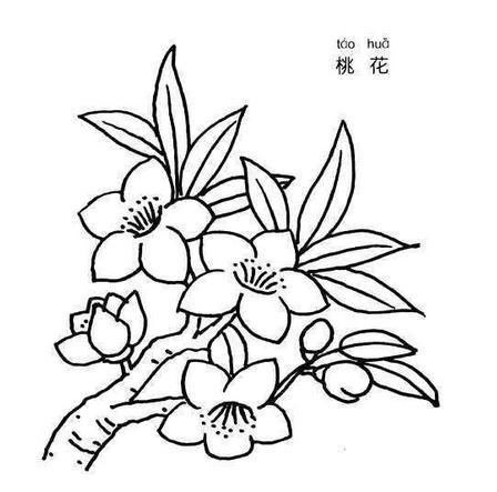 简笔画桃花树的画法,简笔画桃花树_竞价网