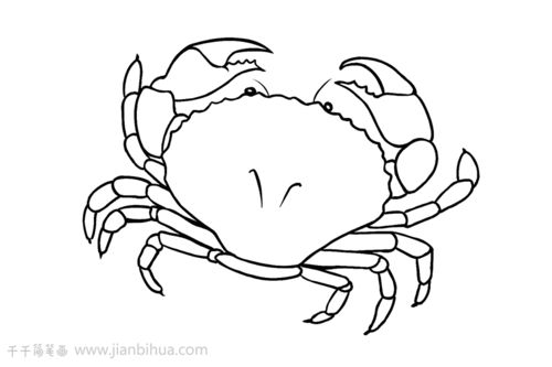 简笔画螃蟹涂色简笔画螃蟹的简单画法