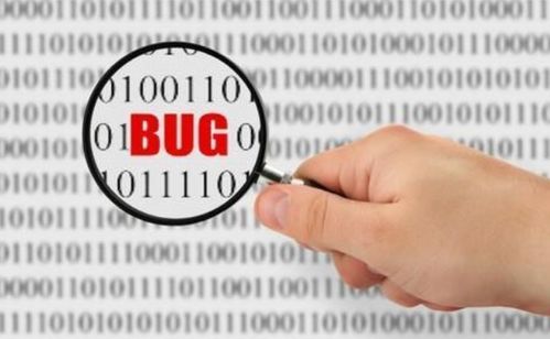 什么是bug域名？它有何特殊含义或用途？  第1张