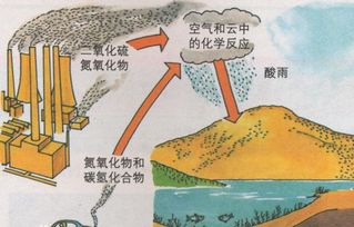 酸雨的主要成分是什么?形成它的主要原因又是什么?