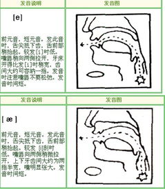 癖怎么发音是第几声癖的读音发音