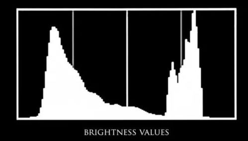 gray[^rei]n.灰色, 暗淡, 灰暗adj.