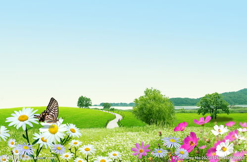 春天有哪些景象变化春天有哪些景象幼儿园