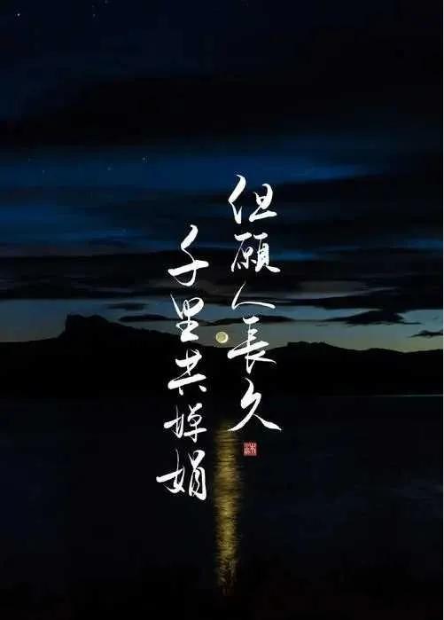 但愿人长久,千里共婵娟 但愿人长久是指爱情吗