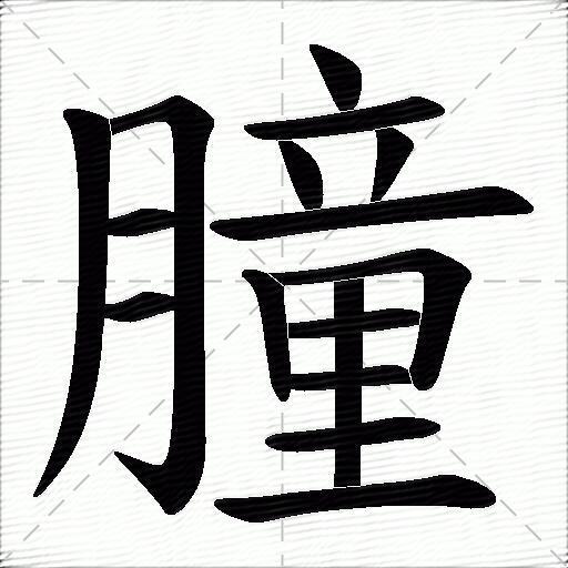 朣什么意思解释,朣字笔画笔顺,朣拼音组词_竞价网