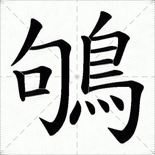 鸲什么意思解释,鸲字笔画笔顺,鸲拼音组词_竞价网