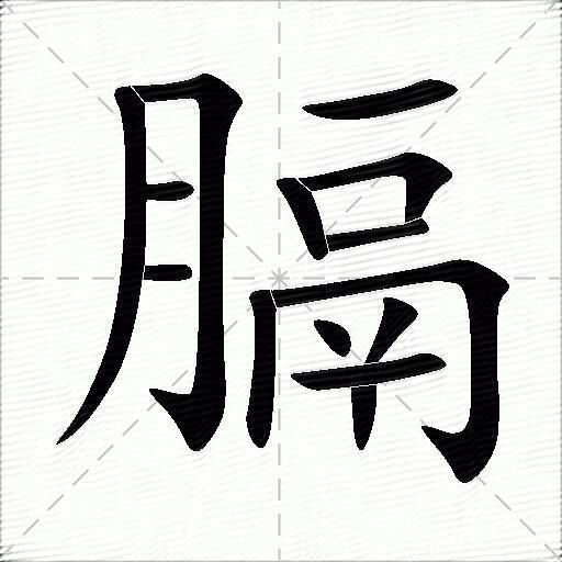 膈什么意思解释,膈字笔画笔顺,膈拼音组词_竞价网