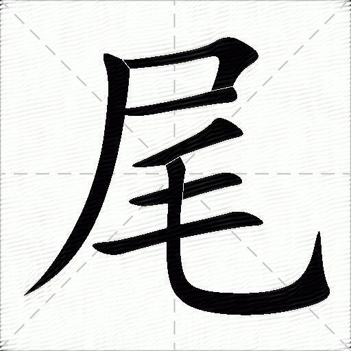 尾什么意思解释尾字笔画笔顺尾拼音组词