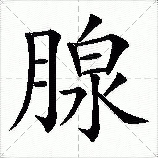 腺什么意思解释,腺字笔画笔顺,腺拼音组词_竞价网