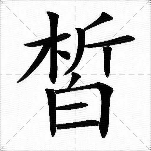 皙什么意思解释,皙字笔画笔顺,皙拼音组词_竞价网