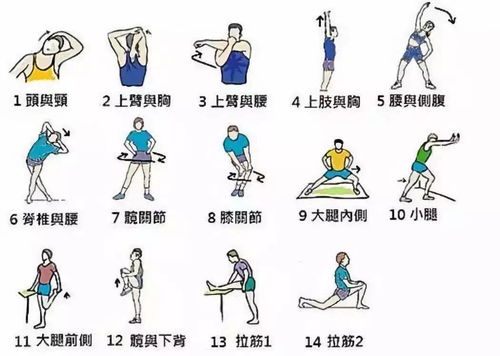 热身运动的作用热身运动八个步骤图片