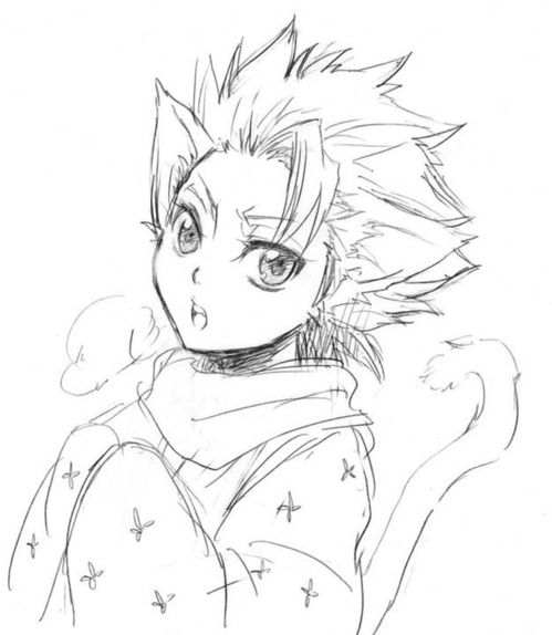 给个简单的动漫绘画人物的图.最好是铅笔画的.