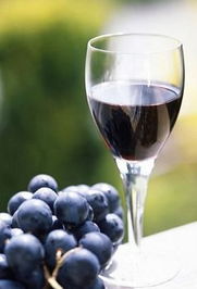 葡萄酒的做法自酿全过程