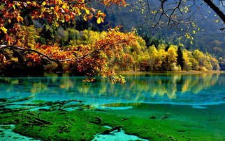 九寨沟旅游一日游攻略