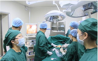 溶石治疗胆结石