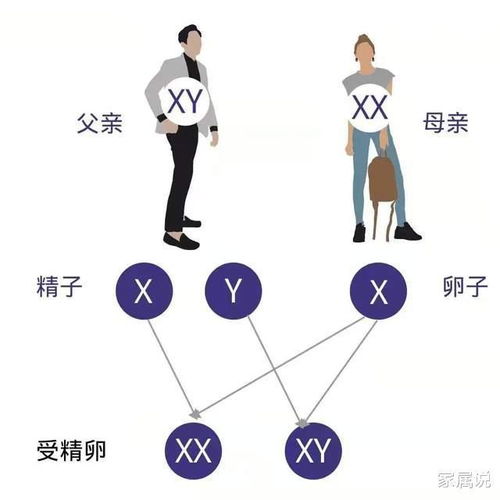 如何提高生男孩几率的六个方法