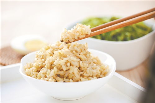 糙米怎么烹饪