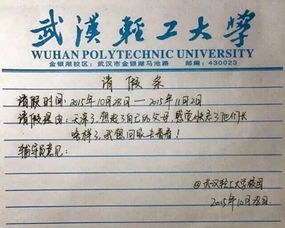 请假用的理由