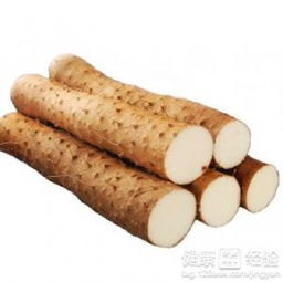 淮山的功效与作用