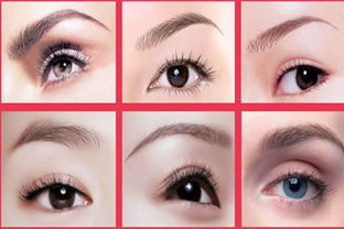 绣眉一般多少钱