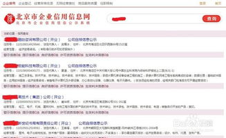 公司的经营范围怎么填写