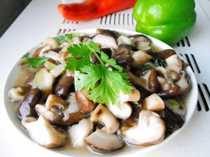 青菜炒香菇怎么炒好吃