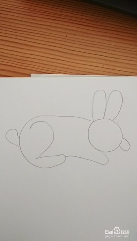 怎样用数字画小兔子简笔画