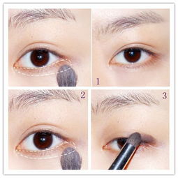 眼窝在哪个部位图片