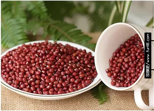 红豆薏米快速减肥法 让你一周瘦10斤