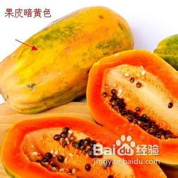 怎样挑选好吃的木瓜