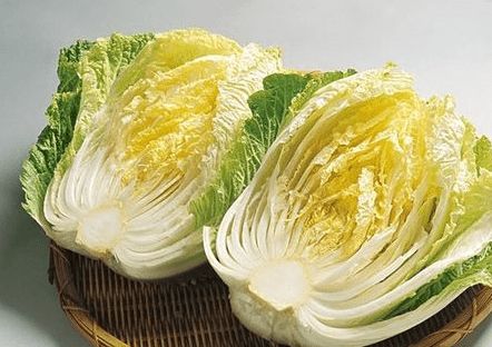 三天减肥食谱一日三餐